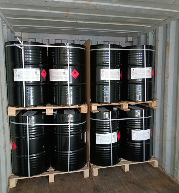 WhatsApp Image 2026-02-05 at 13.02.16